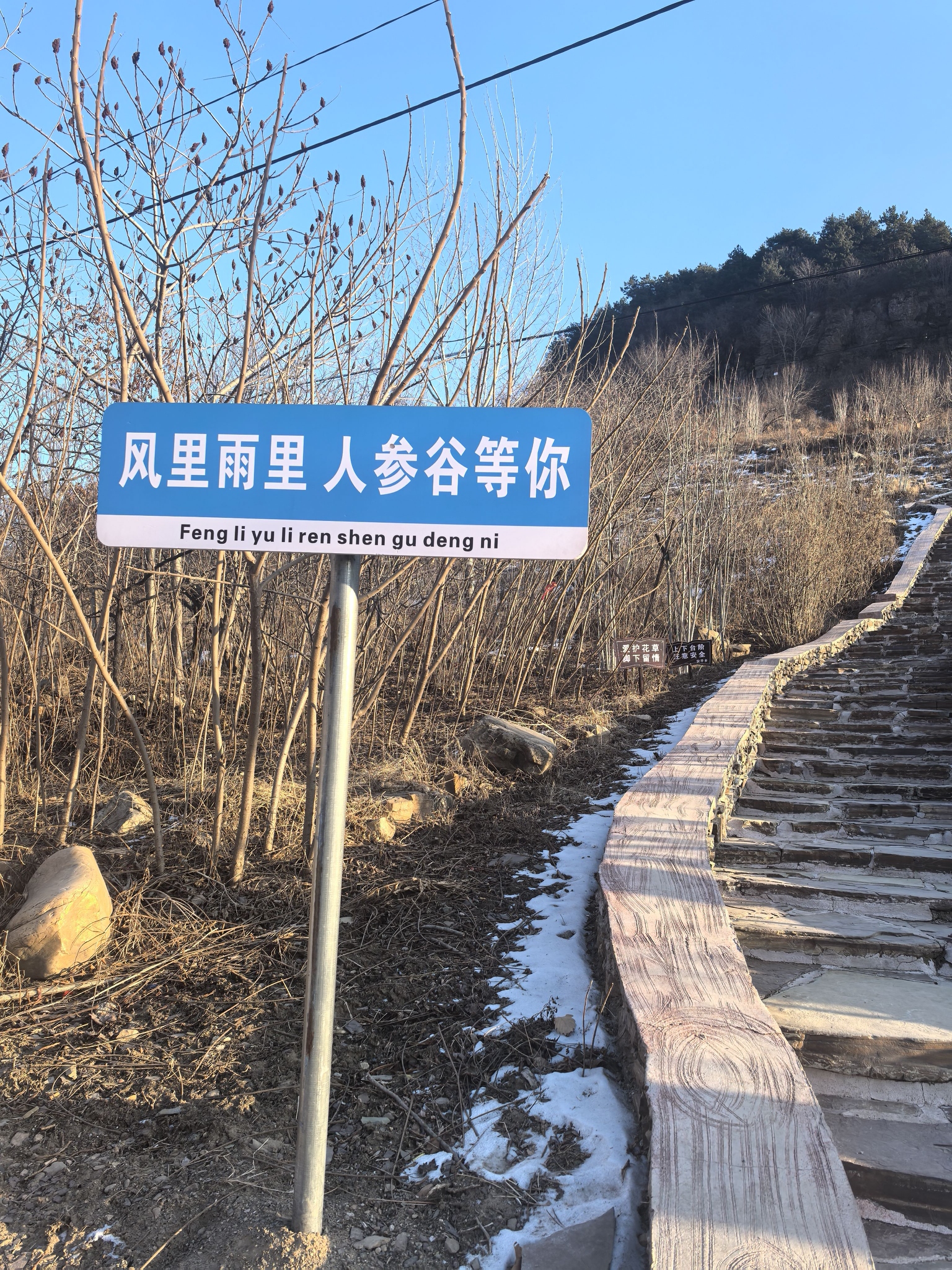 人参谷森林公园旅行图片 1