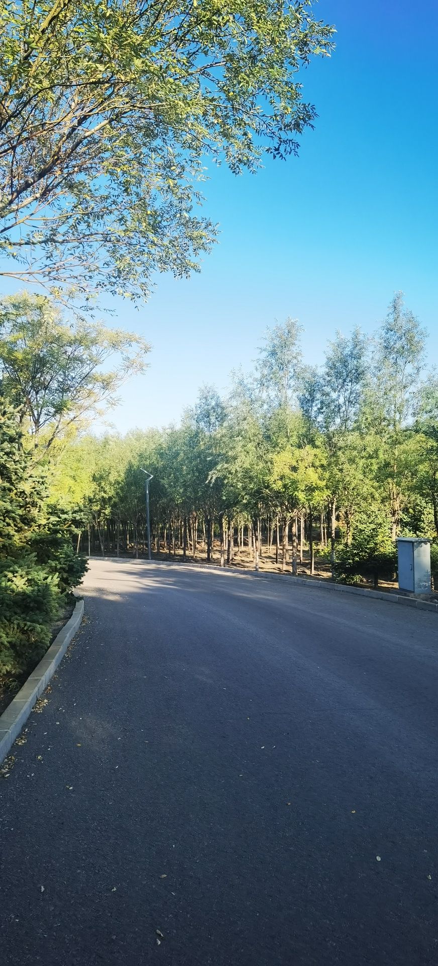 棋盘井矿山地质公园旅行图片 1