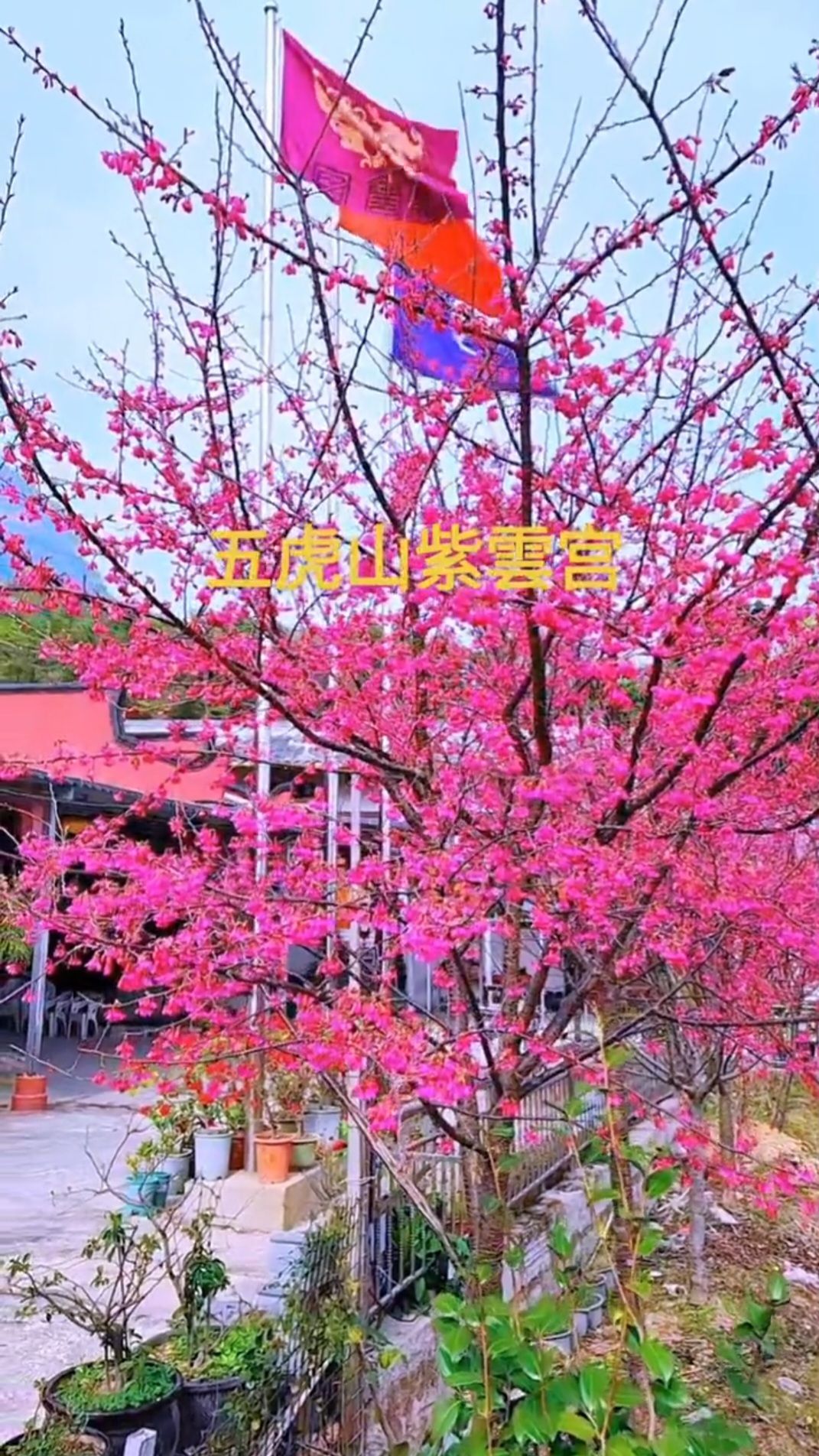 五虎山紫云宫旅行图片 2