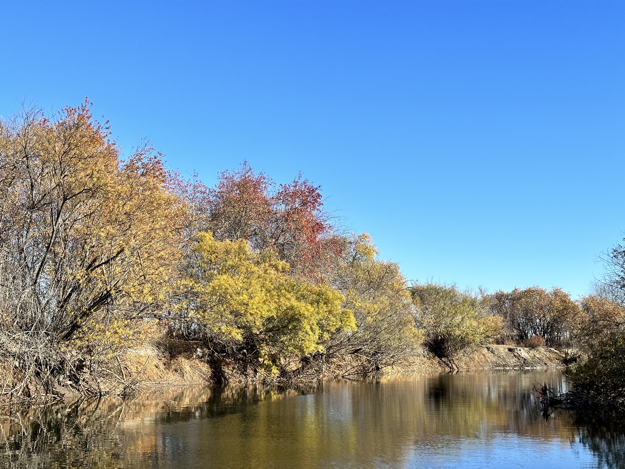 黑山头列夫湿地庄园(暂停开放)旅行图片 2