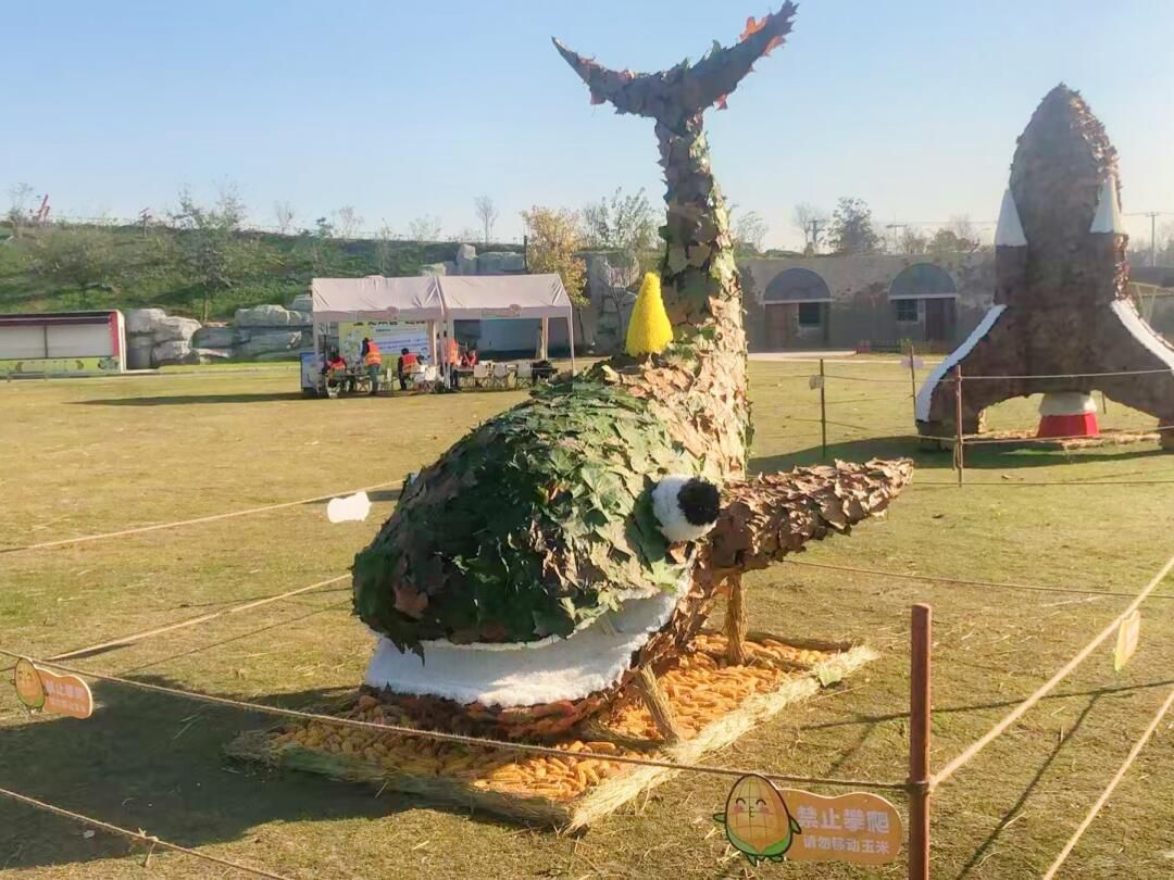 奇妙农场景区旅行图片 1