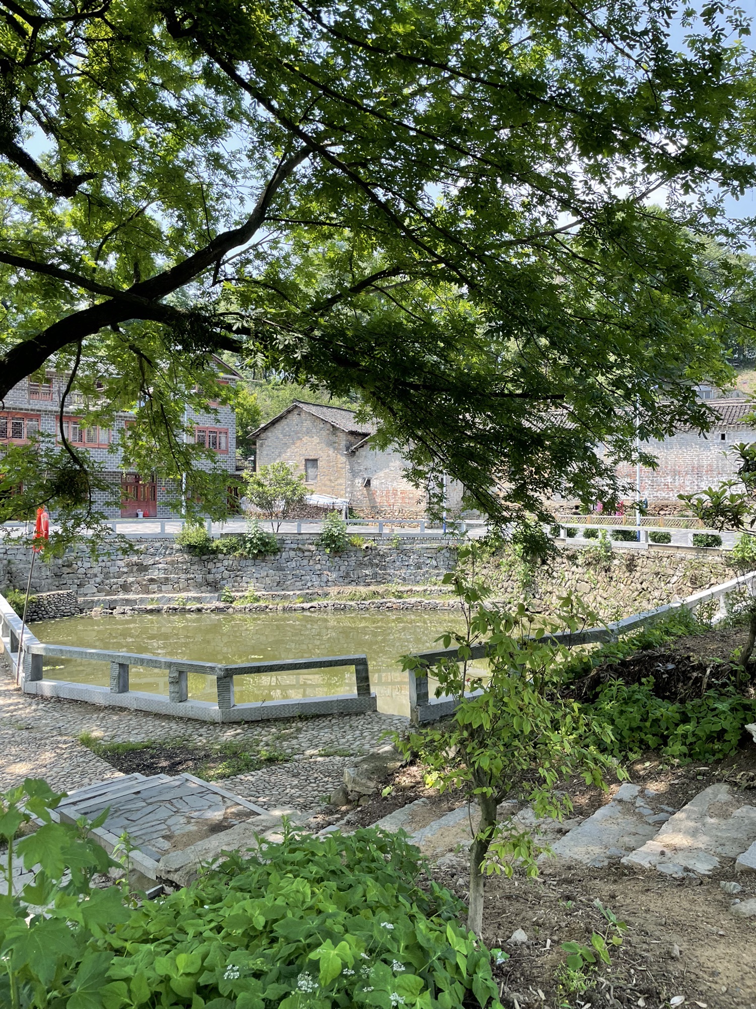姜家大寨古民居旅行图片 2