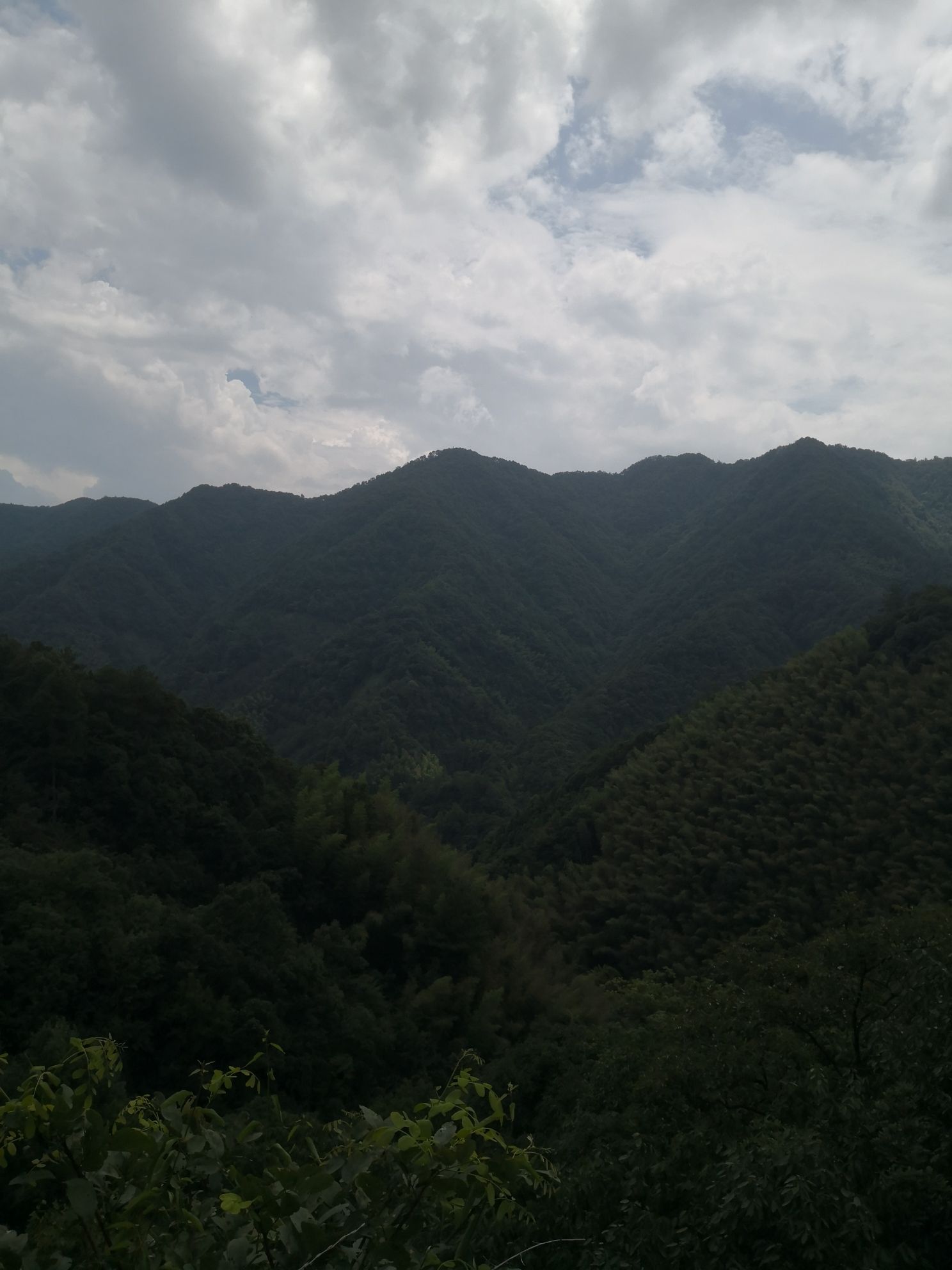 云烟山野观景台旅行图片 1