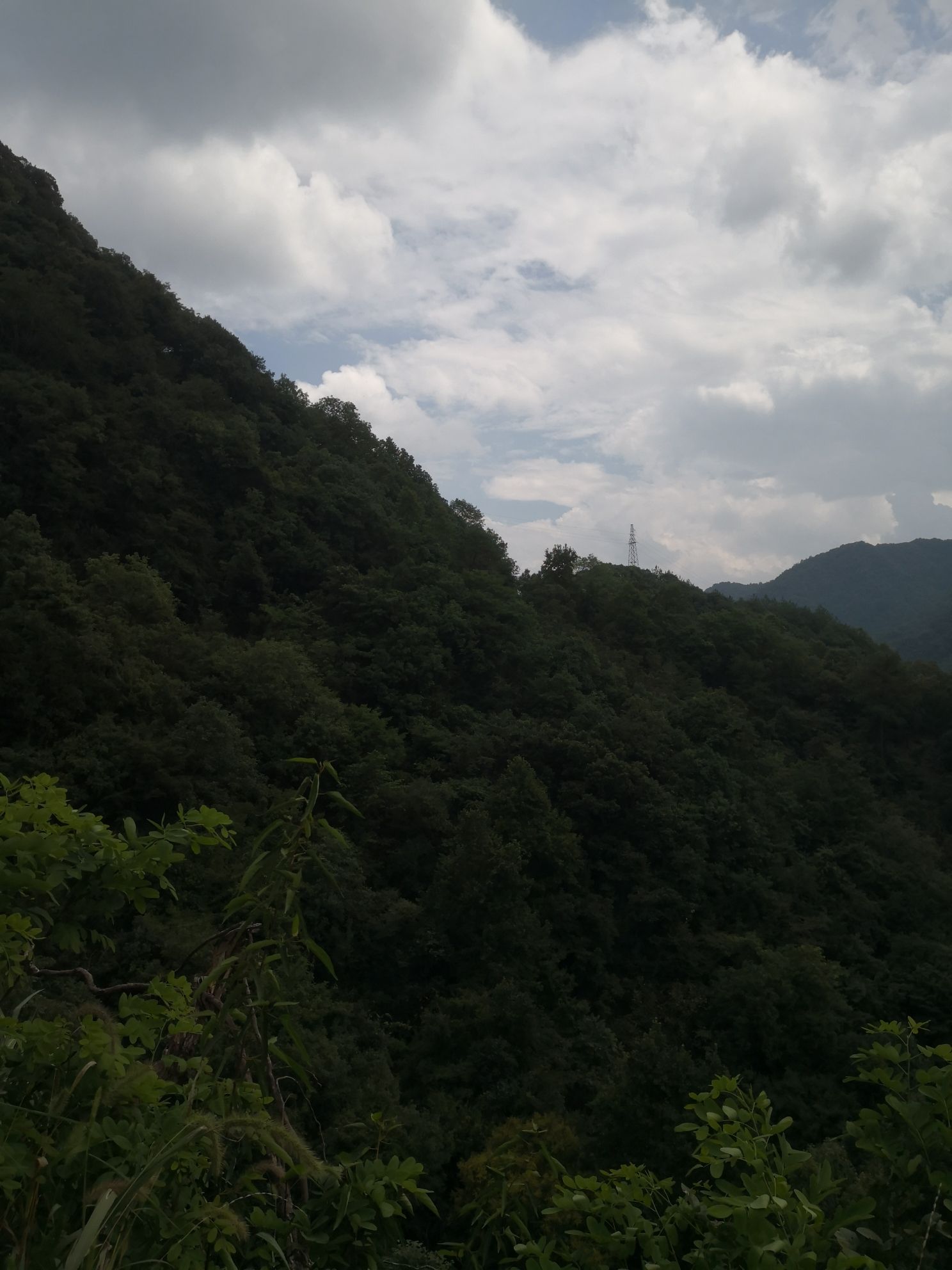 云烟山野观景台旅行图片 2