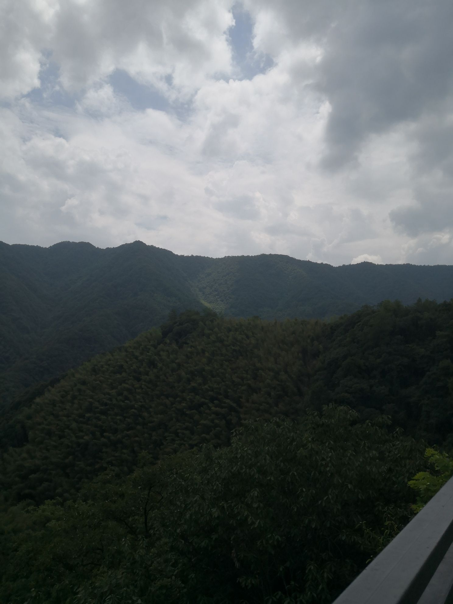 云烟山野观景台旅行图片 3