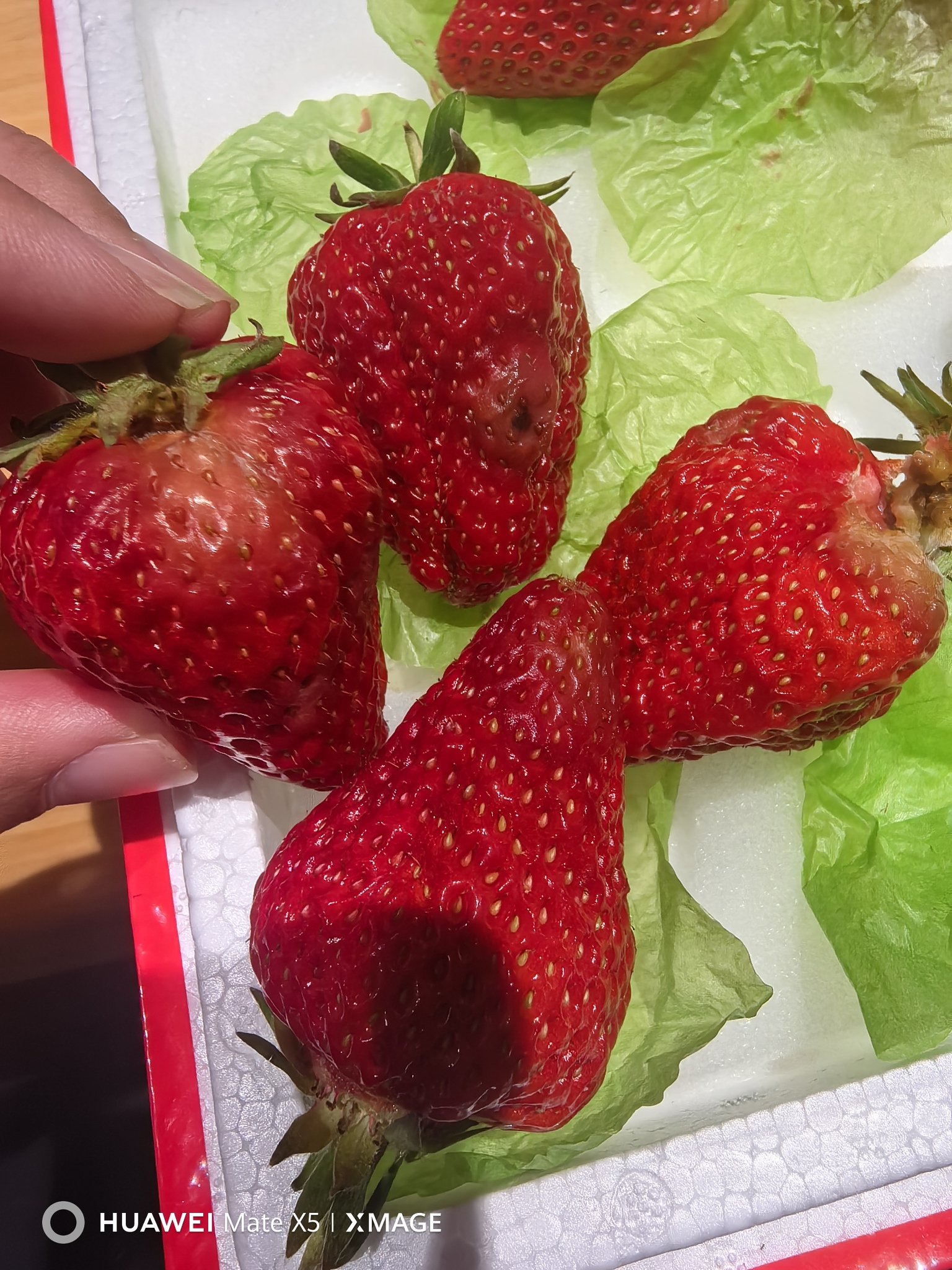 益百顺生鲜连锁超市