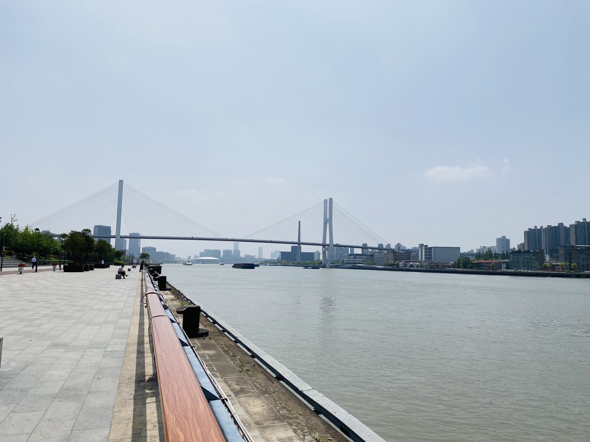 滨江绿道旅行图片 2