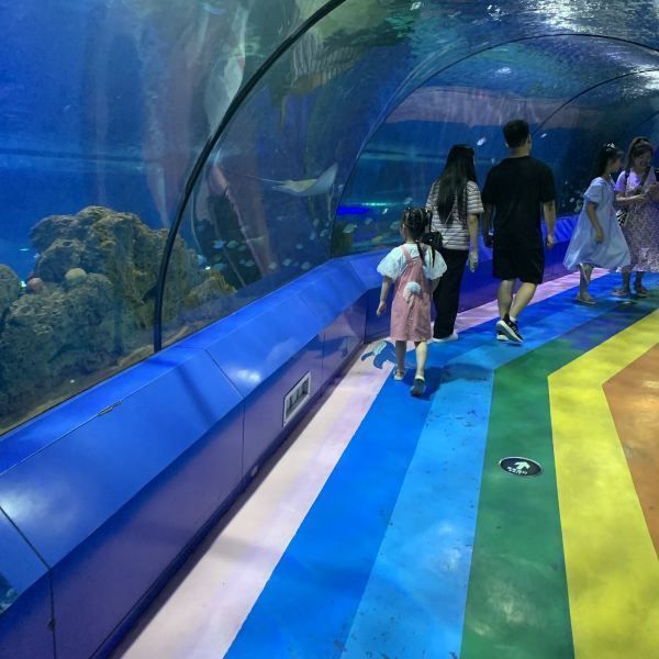 嘉隆海趣海洋世界旅行图片 1