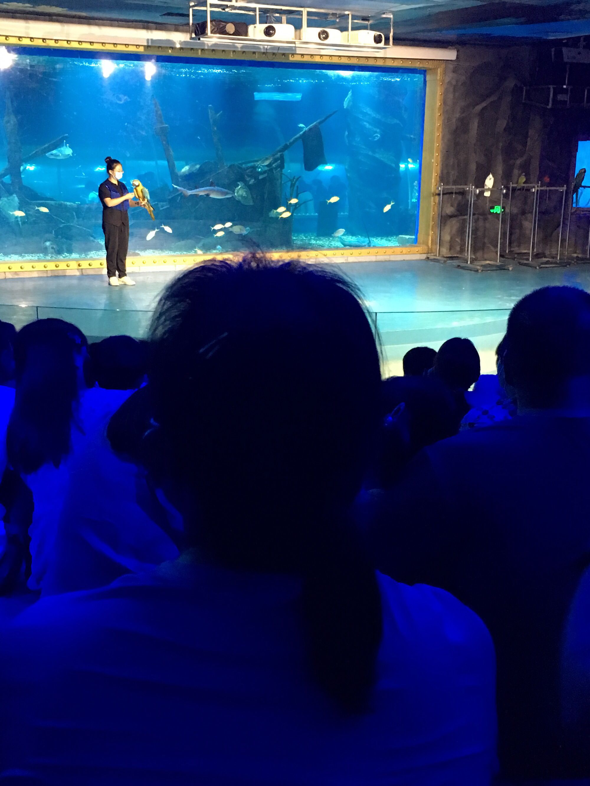 嘉隆海趣海洋世界旅行图片 3