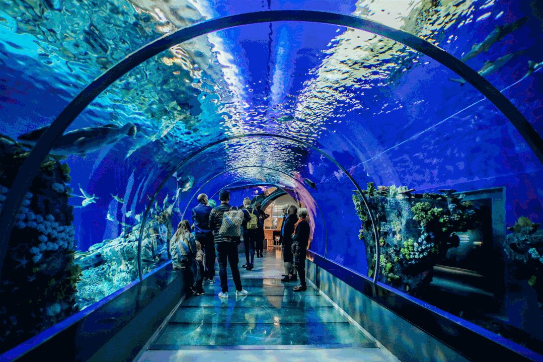 嘉隆海趣海洋世界旅行图片 2