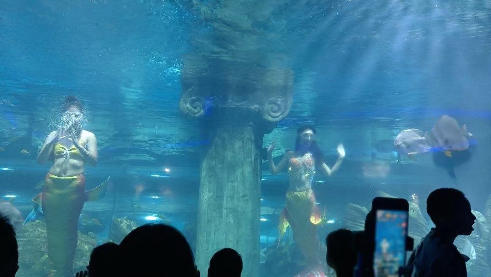 嘉隆海趣海洋世界旅行图片 1