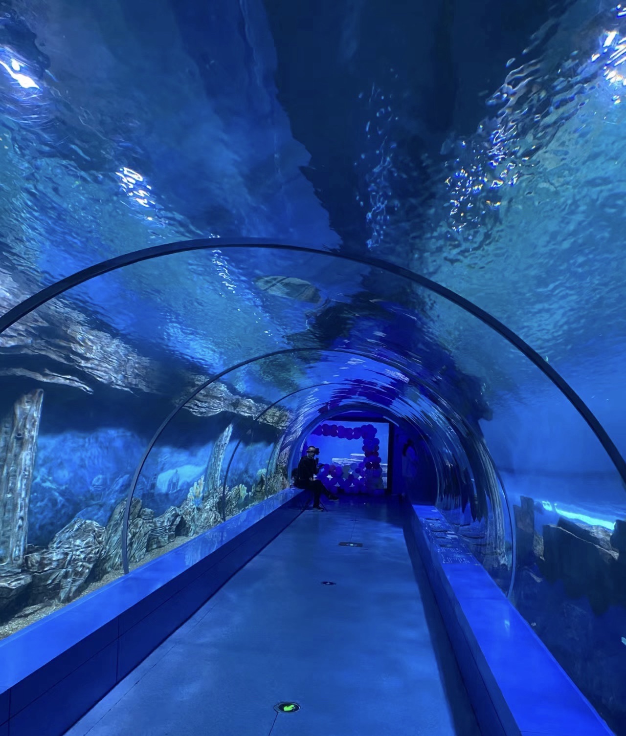 嘉隆海趣海洋世界旅行图片 3