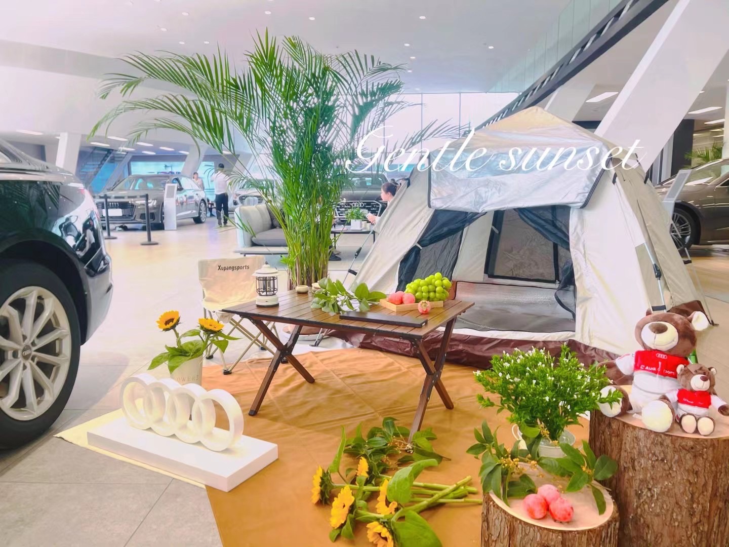 安阳中升汇迪奥迪有限公司