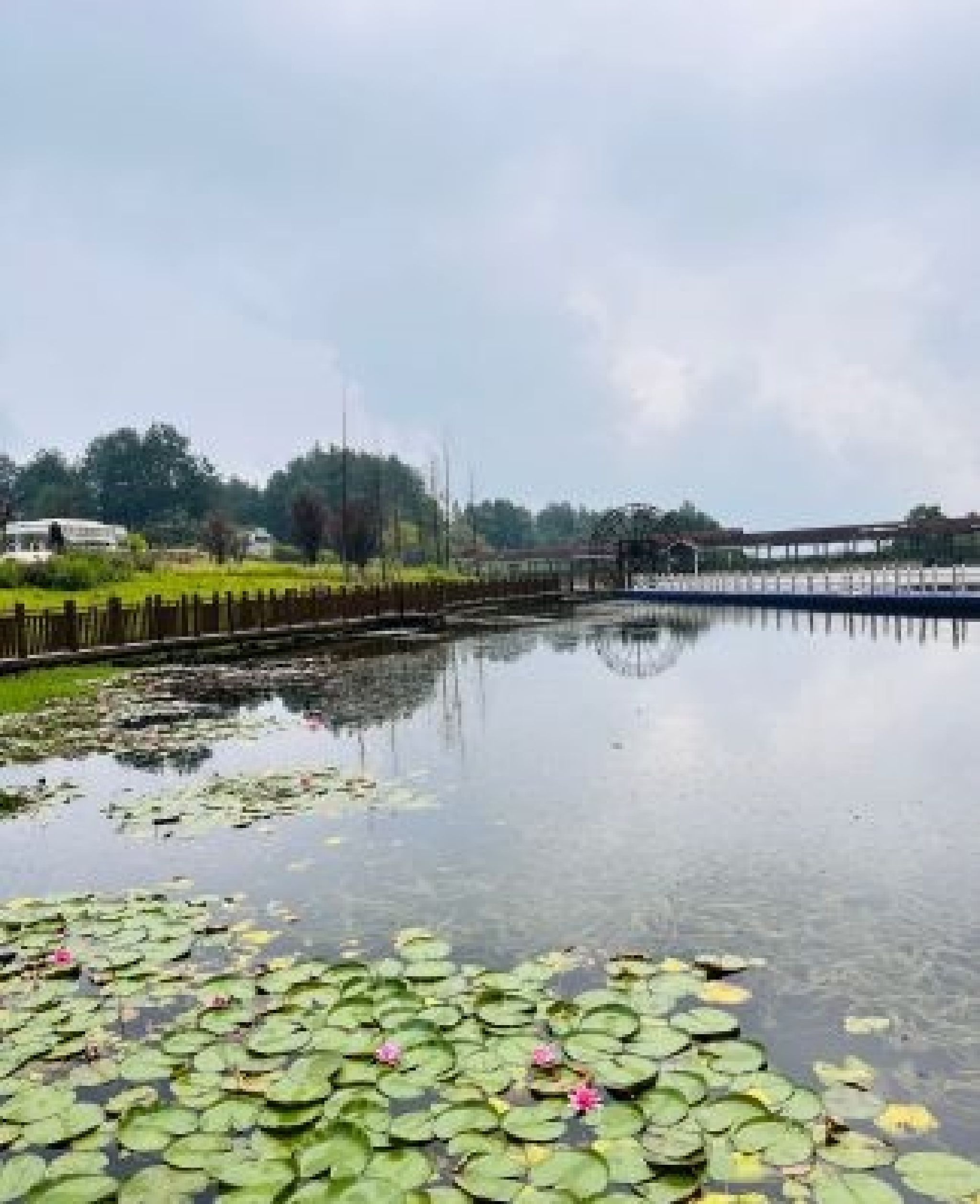 横山旅游度假区旅行图片 2
