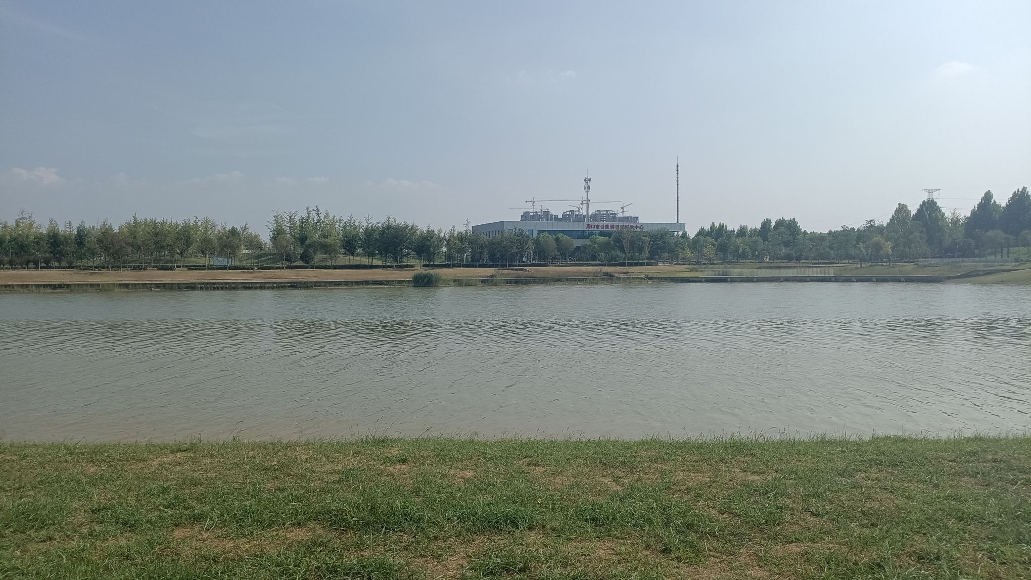 引黄调蓄湖湿地公园旅行图片 2