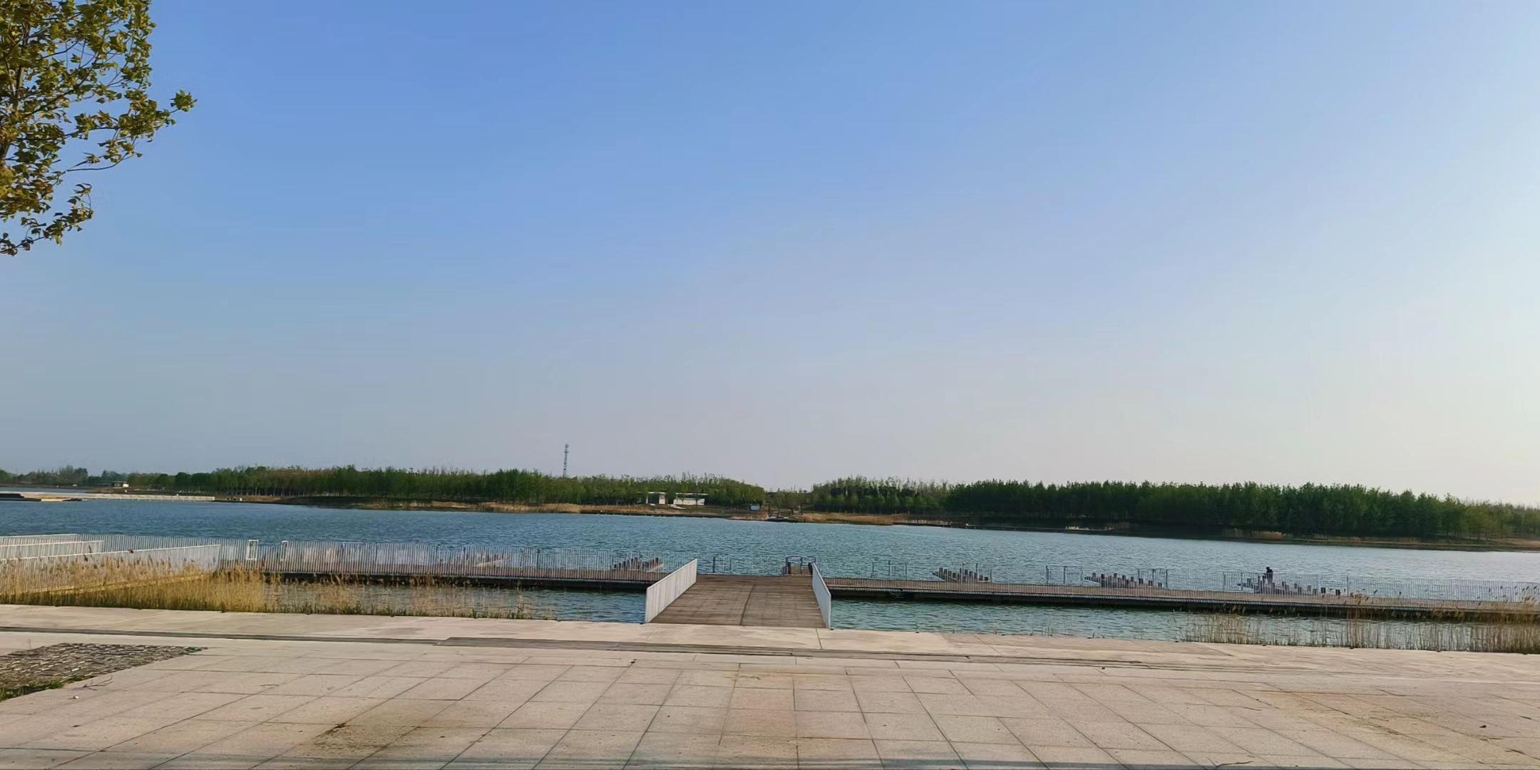 永宁湖湿地公园