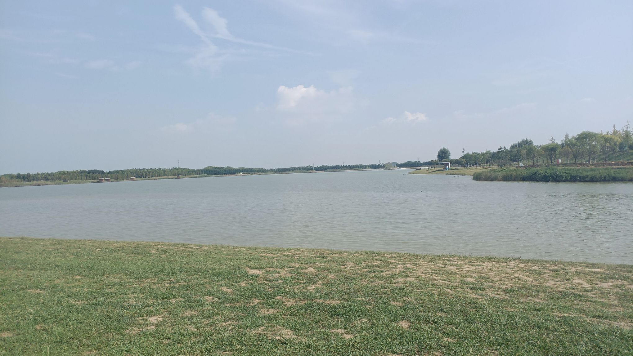 引黄调蓄湖湿地公园旅行图片 3