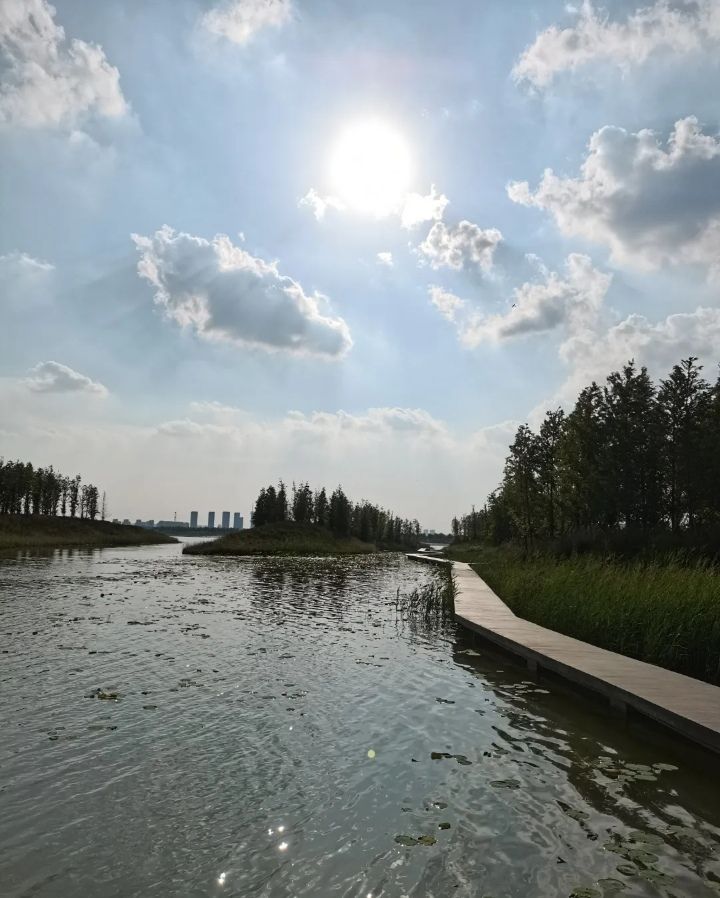引黄调蓄湖湿地公园旅行图片 3