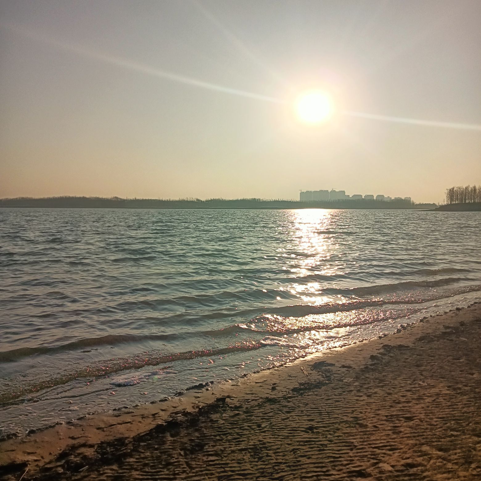 引黄调蓄湖湿地公园旅行图片 1