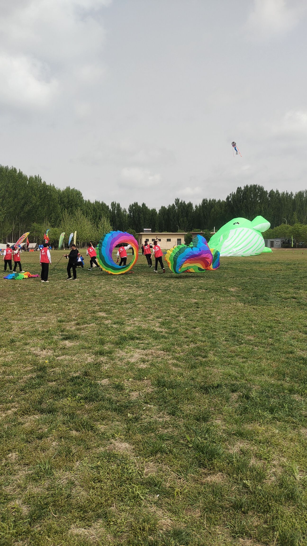 第什里风筝小镇旅行图片 3