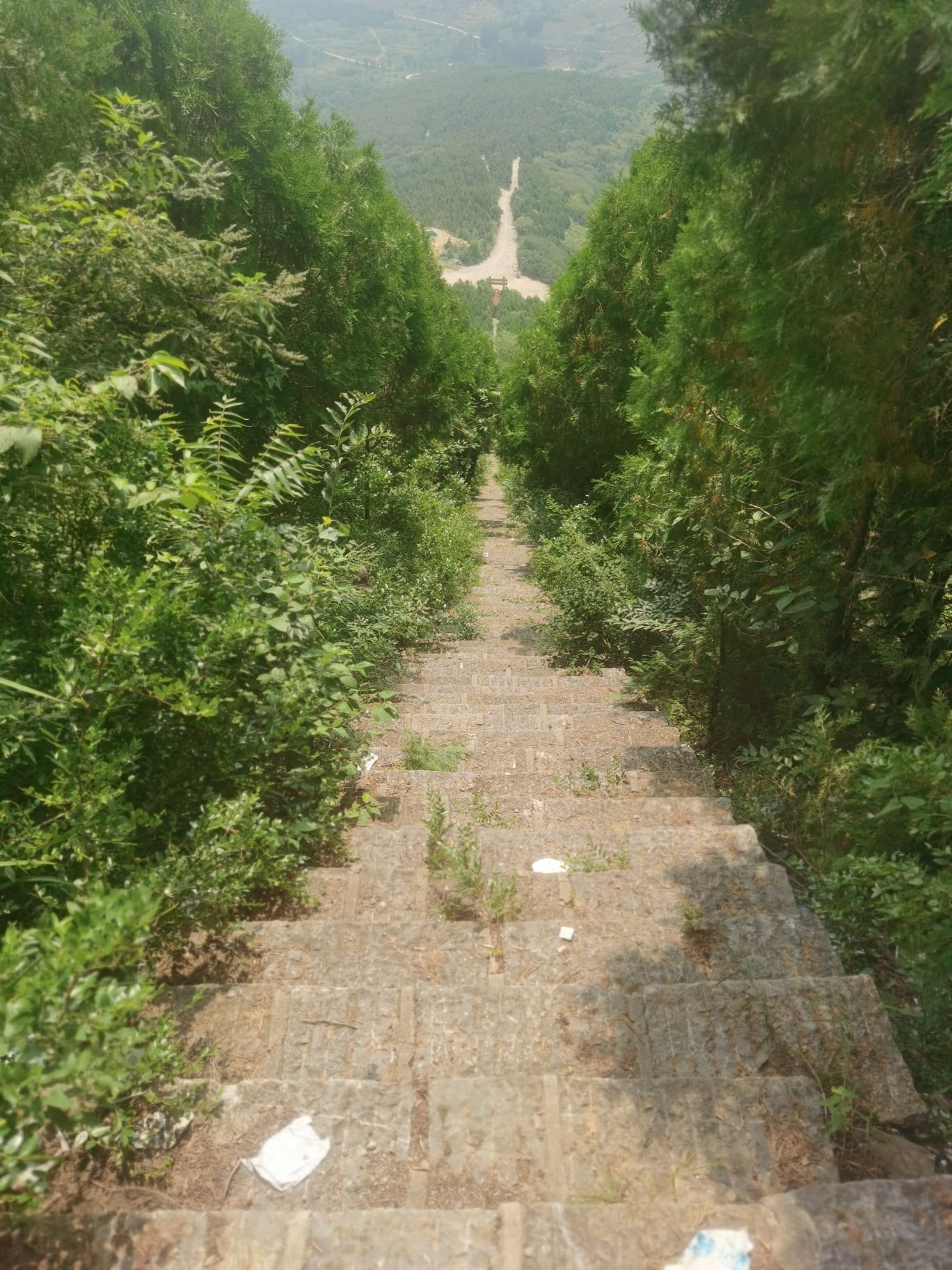 君山风景区旅行图片 1