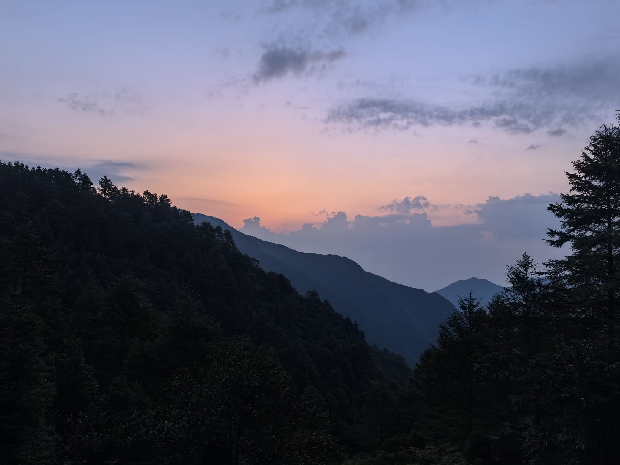 中国金钱松森林公园旅行图片 3
