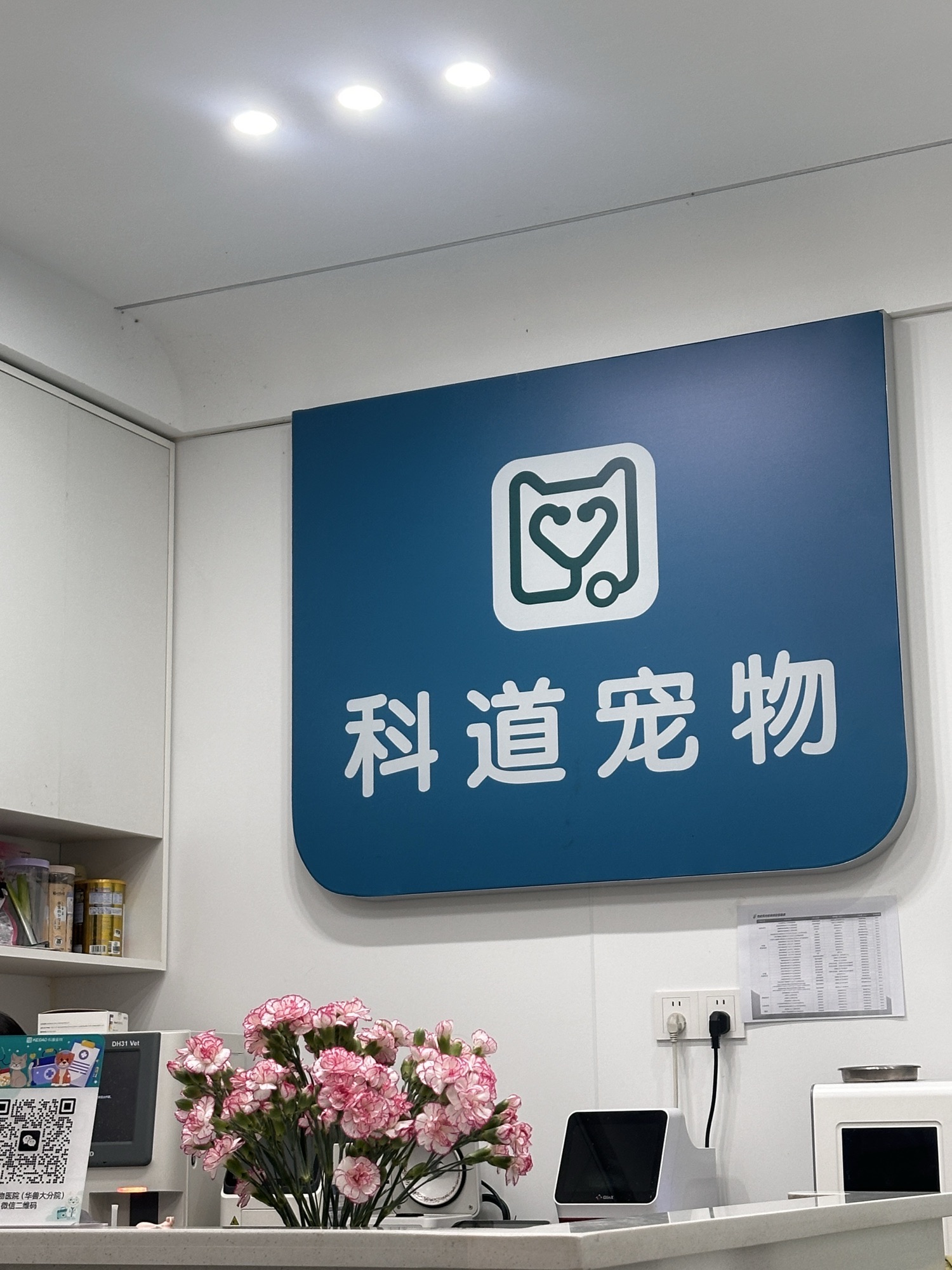 湖北武汉市武昌区附近的宠物医院有哪些？