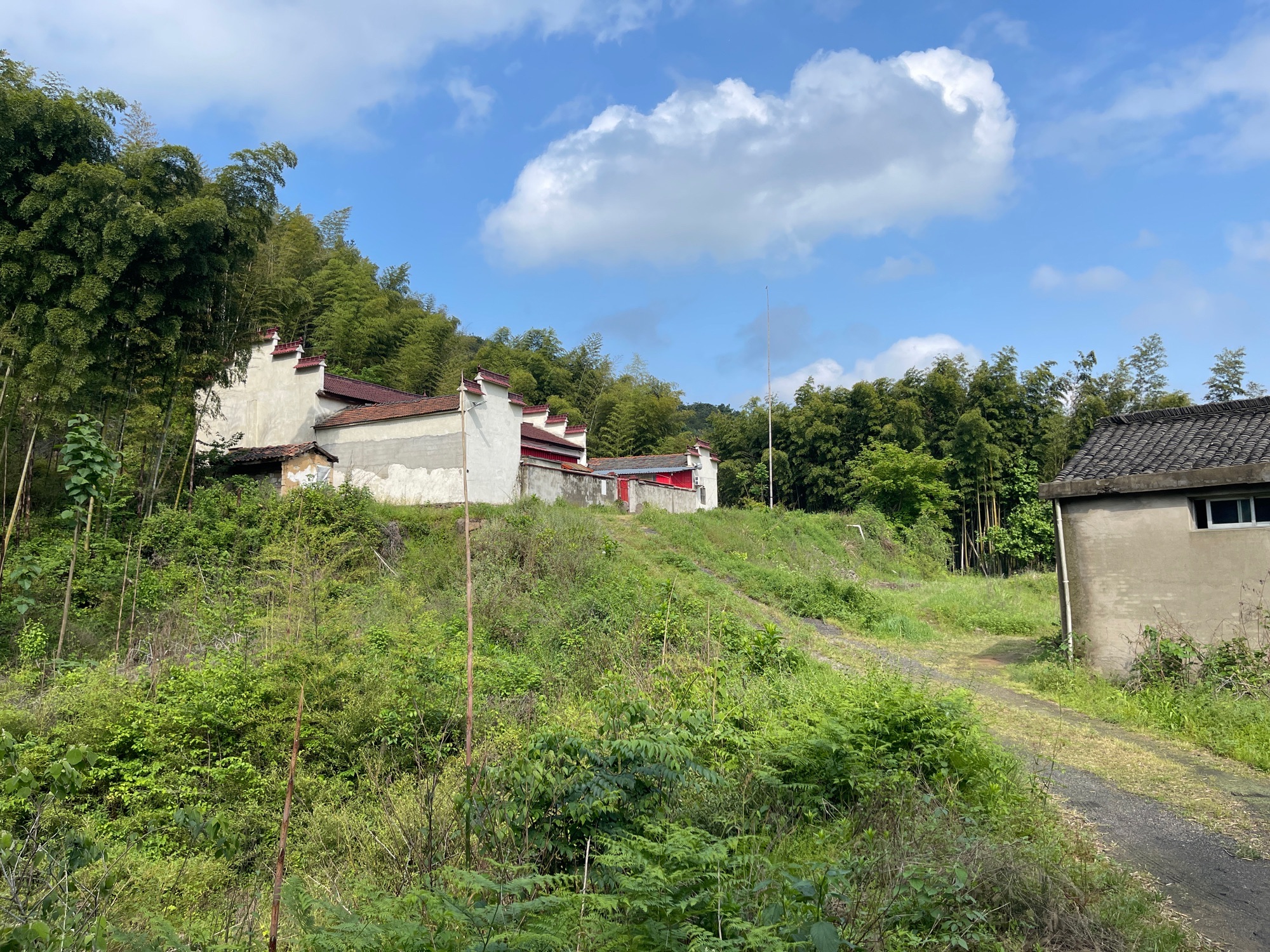 西峰寺实景照片