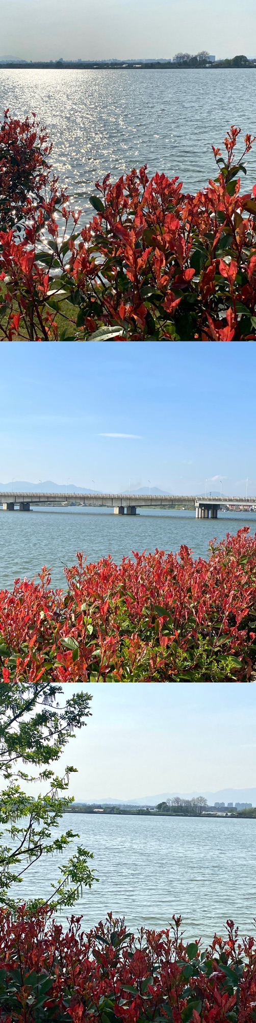 衢江网红沙滩旅行图片 3