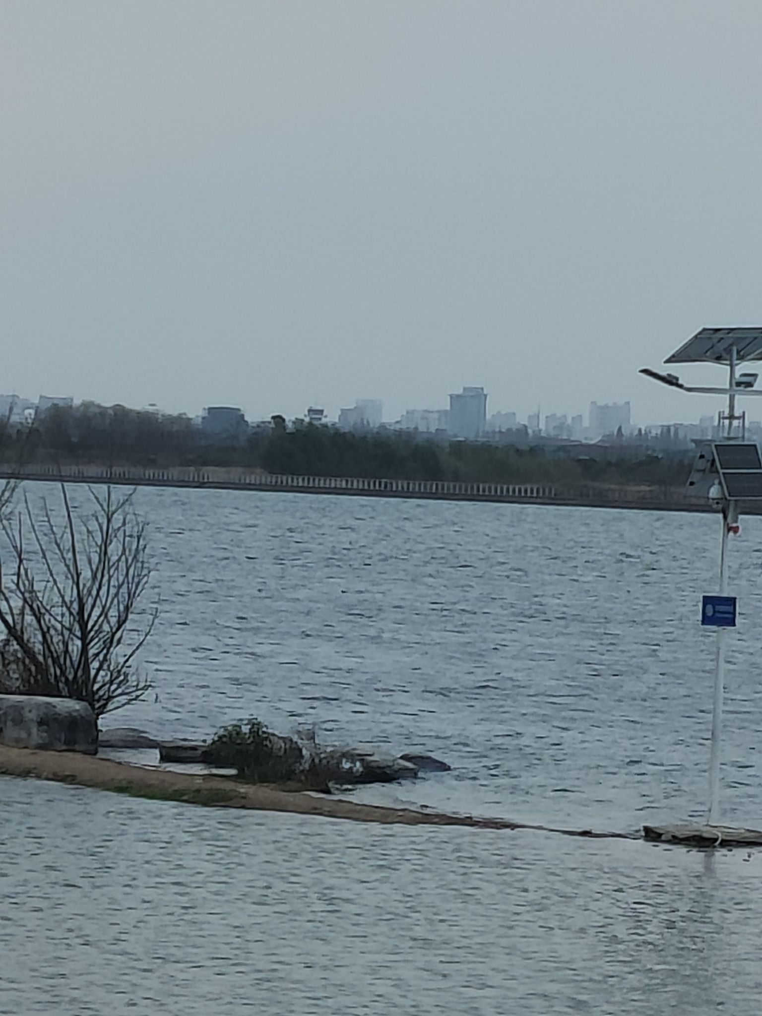 衢江网红沙滩旅行图片 1