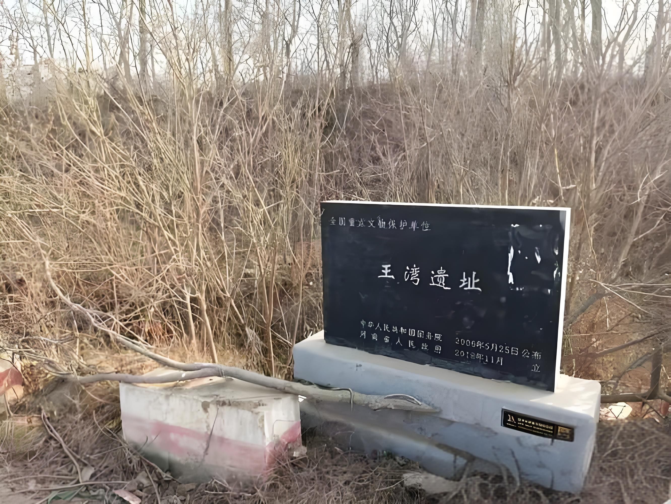 王湾遗址旅行图片 1