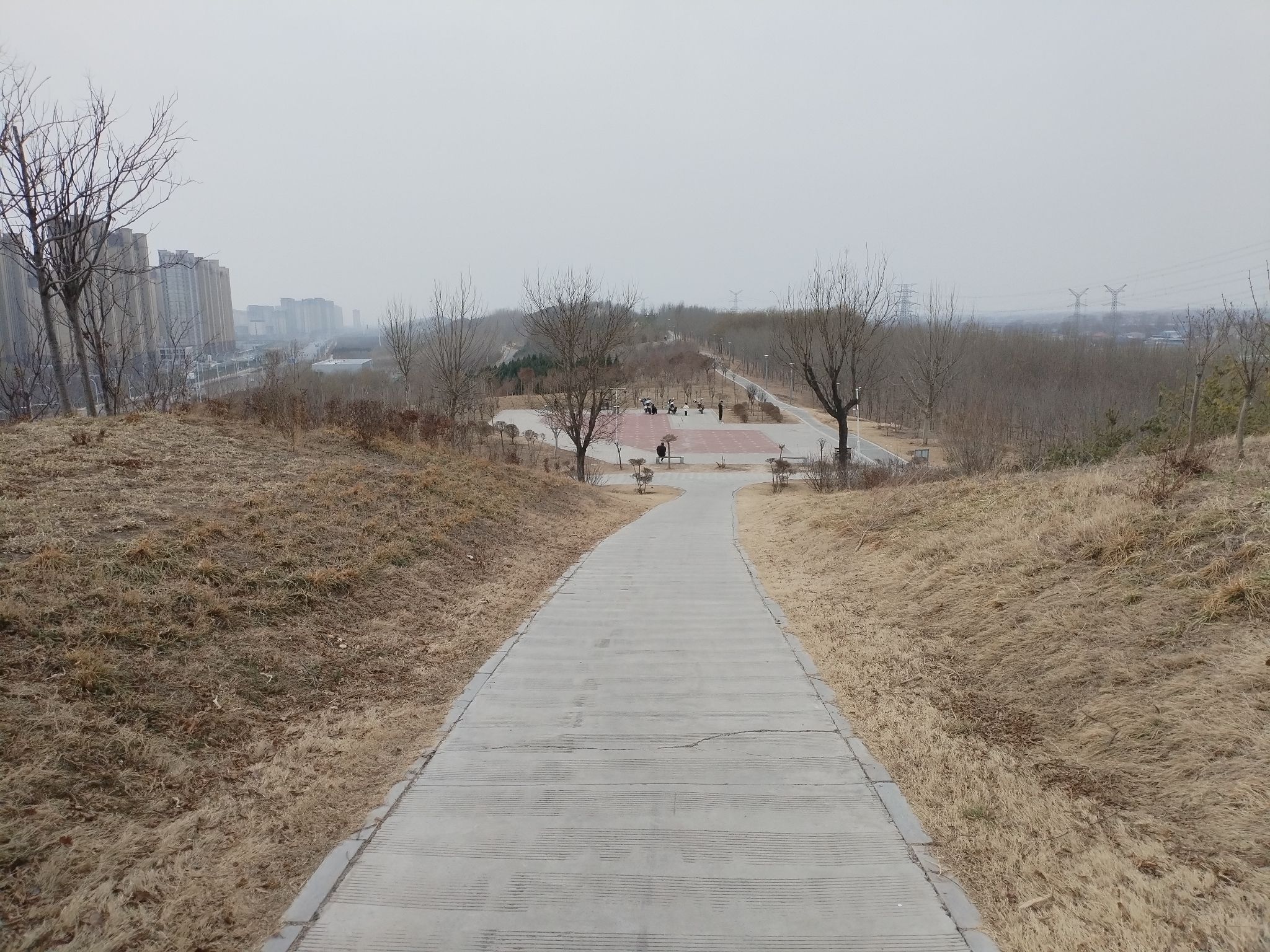 龙山公园旅行图片 2