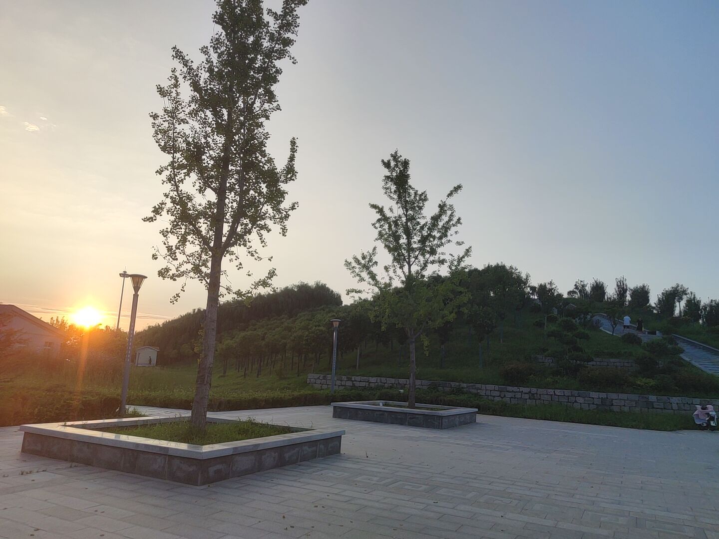 龙山公园旅行图片 2