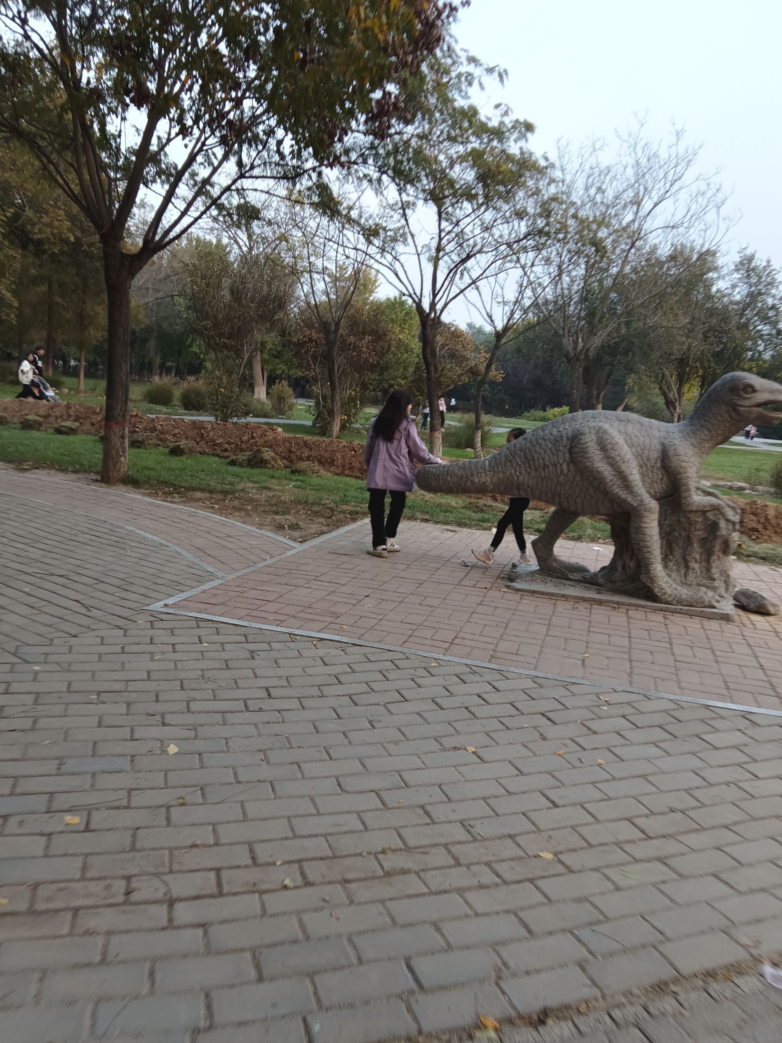 龙山公园旅行图片 2