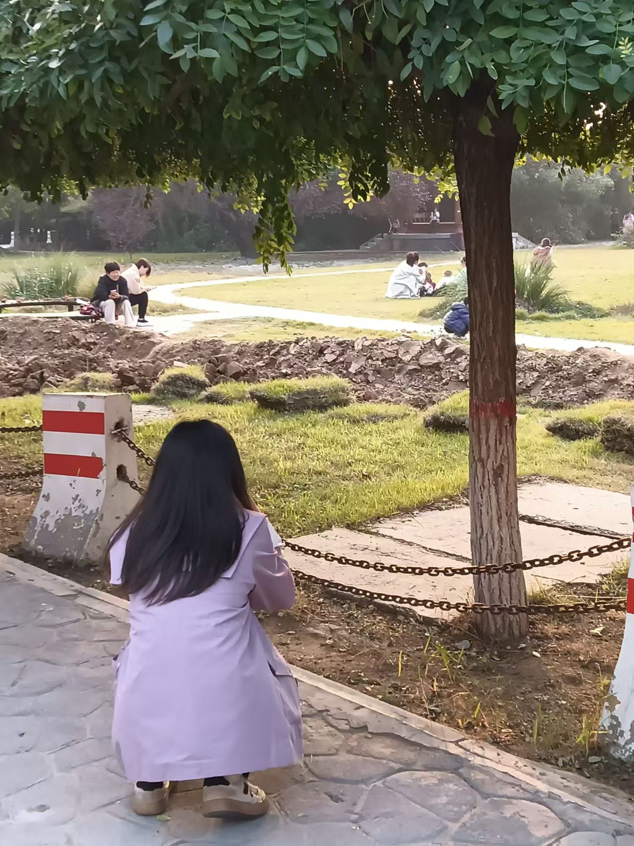 龙山公园旅行图片 3