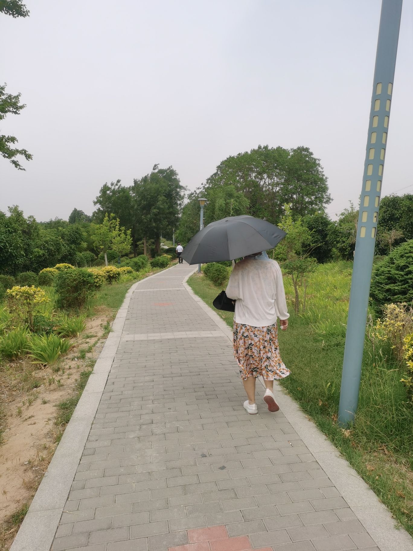 龙山公园旅行图片 1