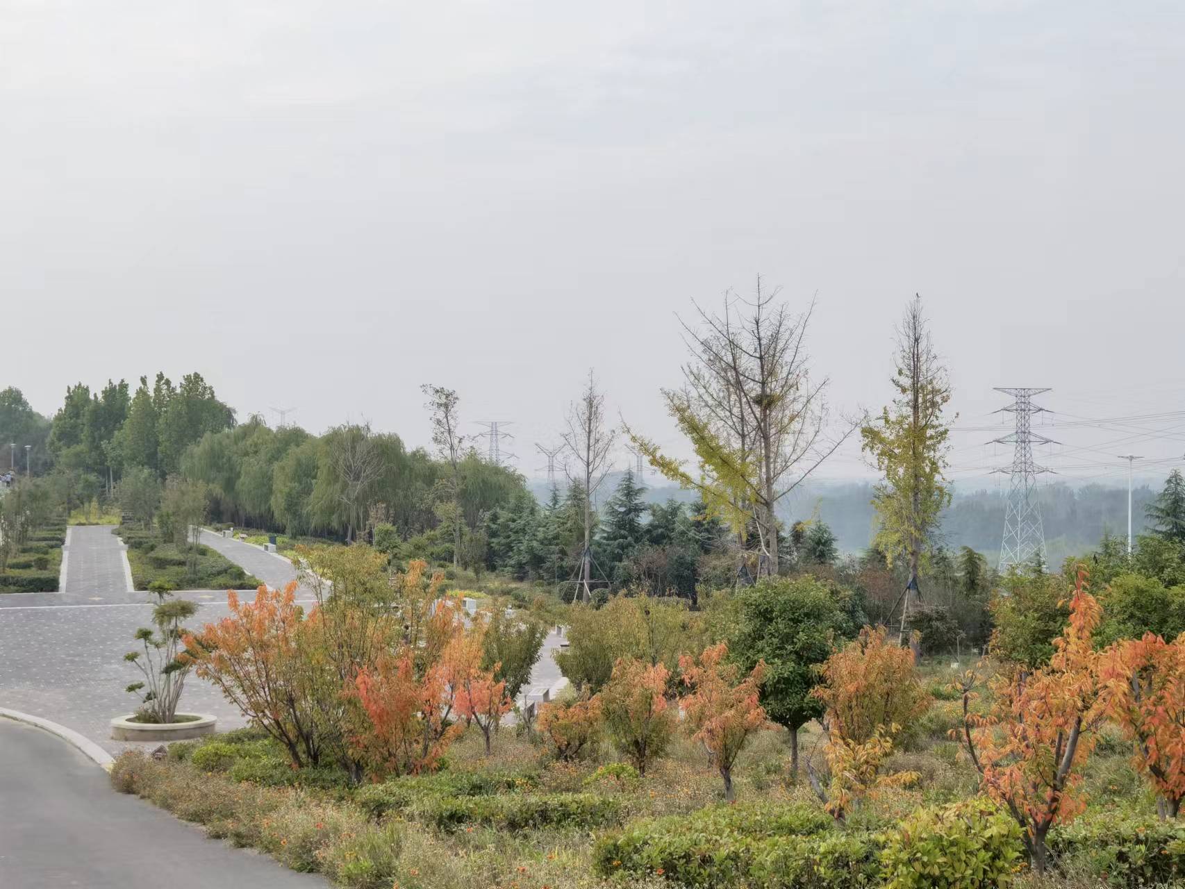 龙山公园旅行图片 2