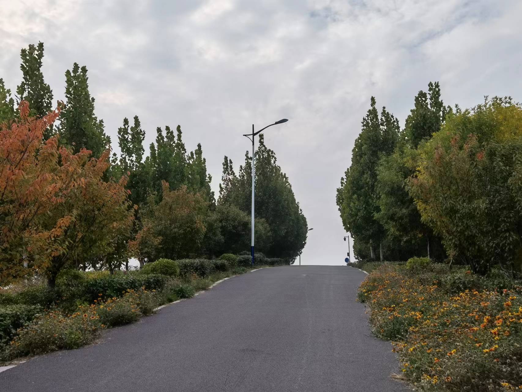 龙山公园旅行图片 3
