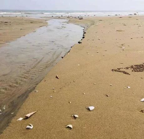 吴阳金海岸沙滩旅行图片 2