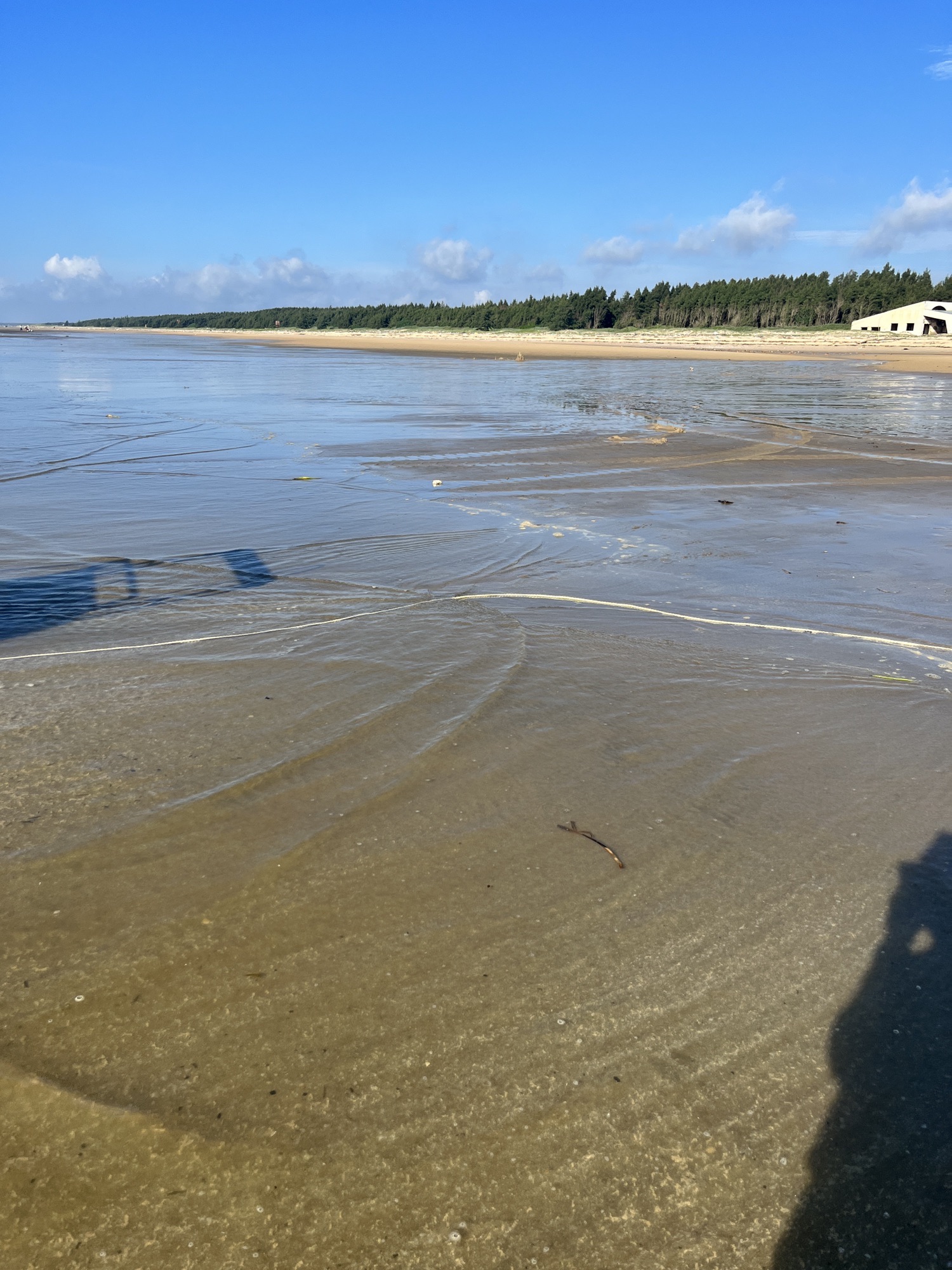 吴阳金海岸沙滩旅行图片 1