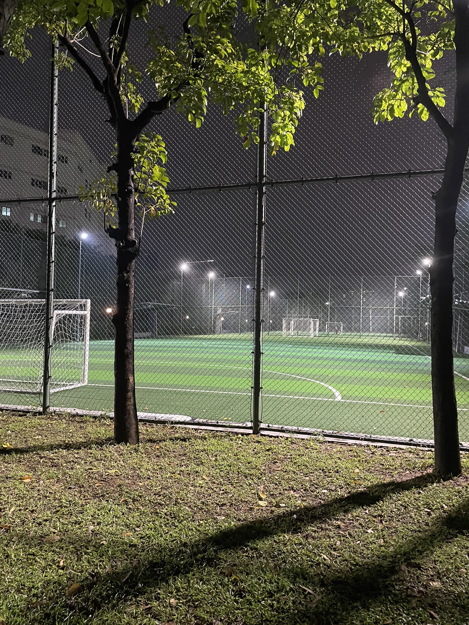 狮子山公园旅行图片 3