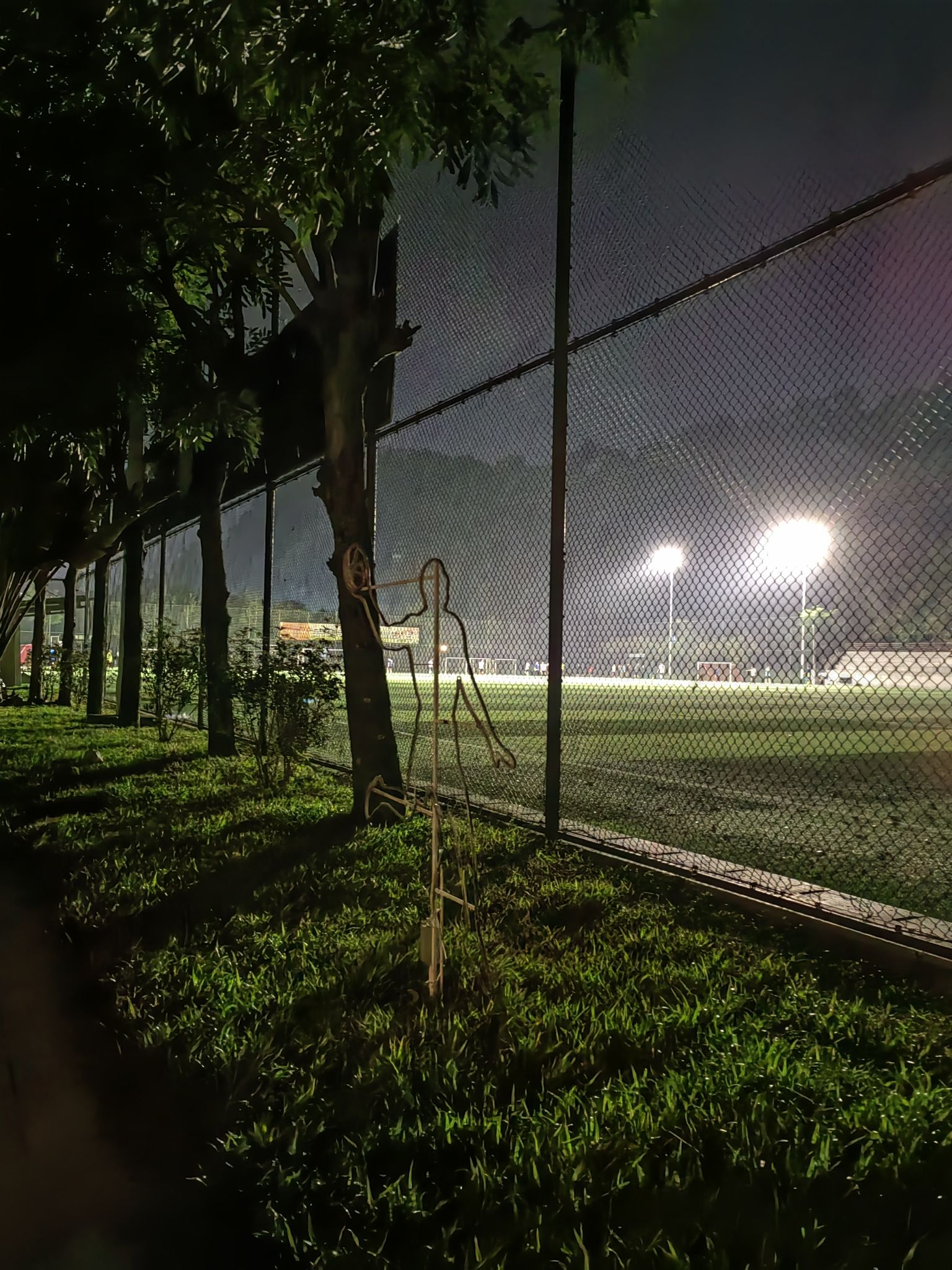 狮子山公园旅行图片 2