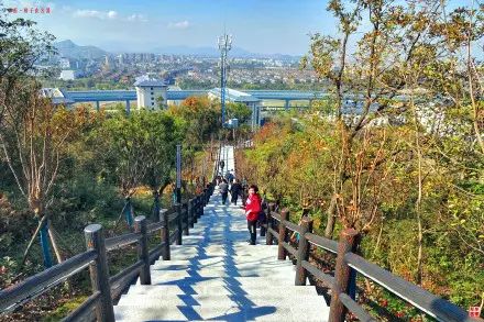 狮子山公园旅行图片 2