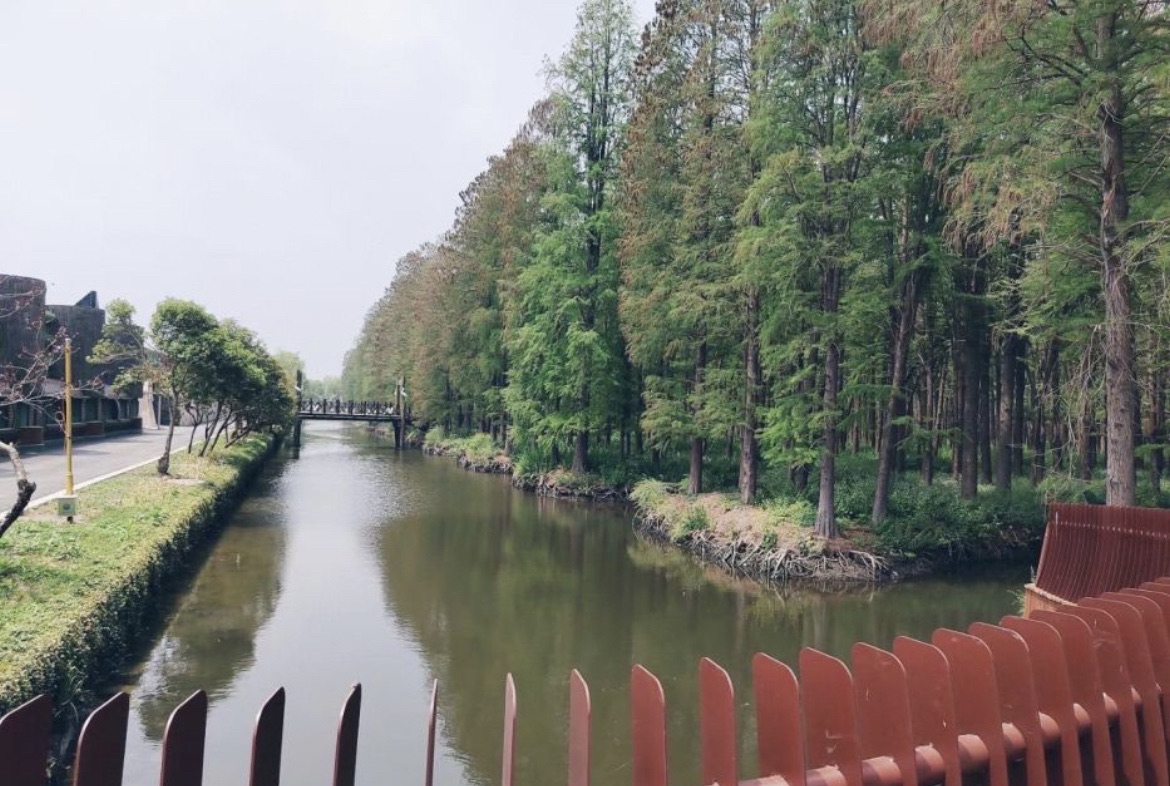徐马荒原生态风景区旅行图片 2