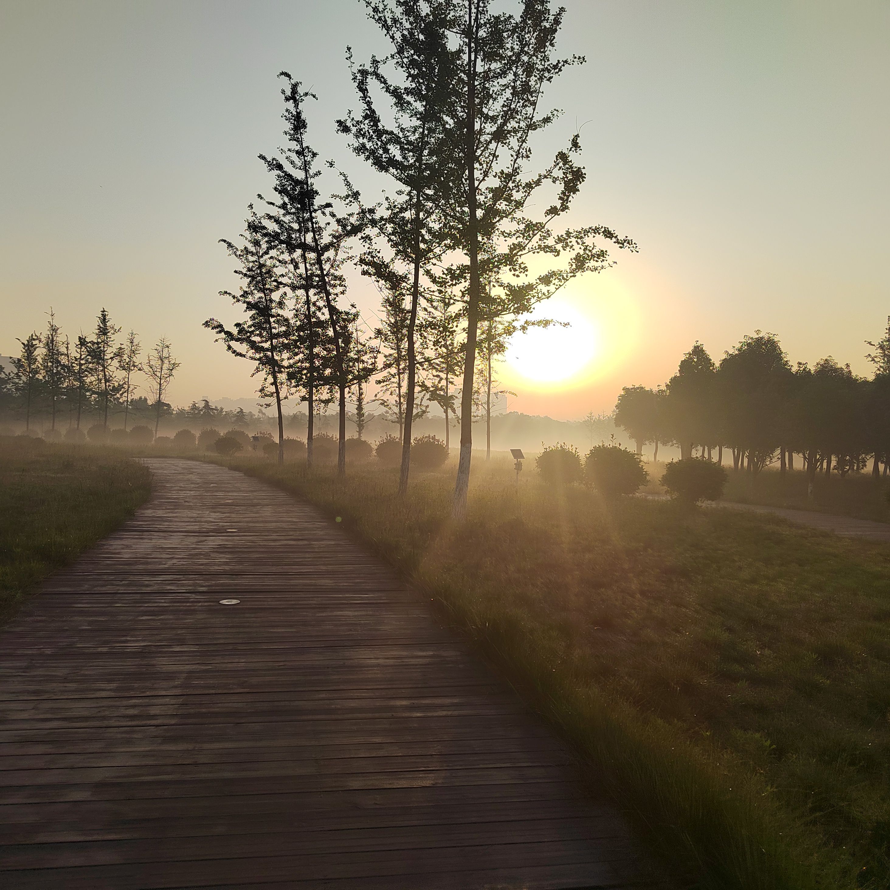 阳城公园旅行图片 2