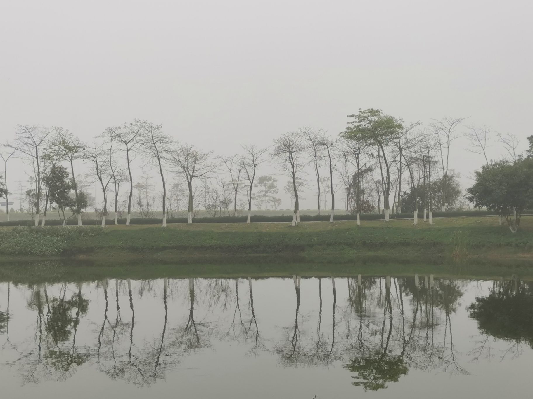 三水福田村旅行图片 1
