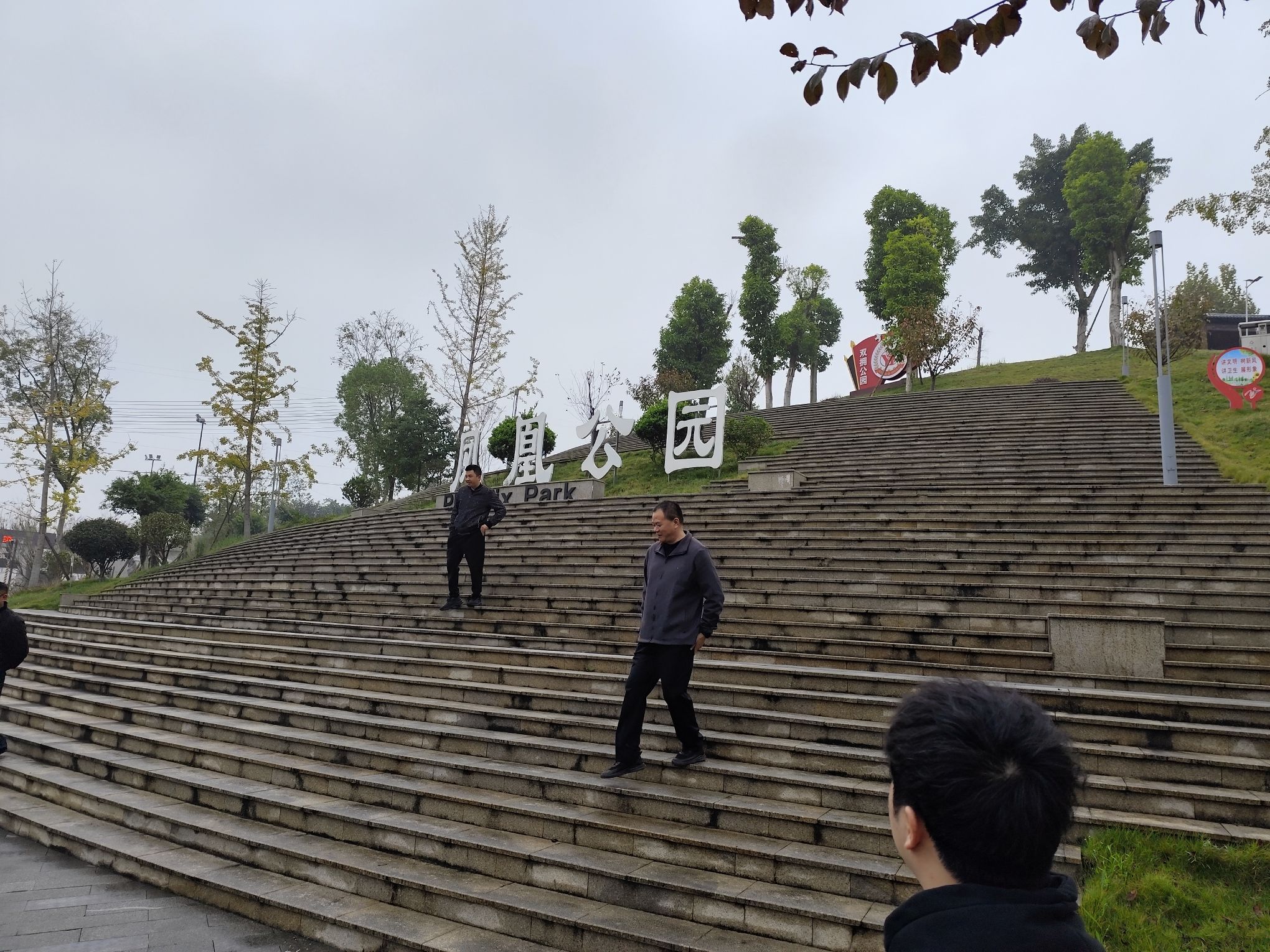 凤凰公园旅行图片 1