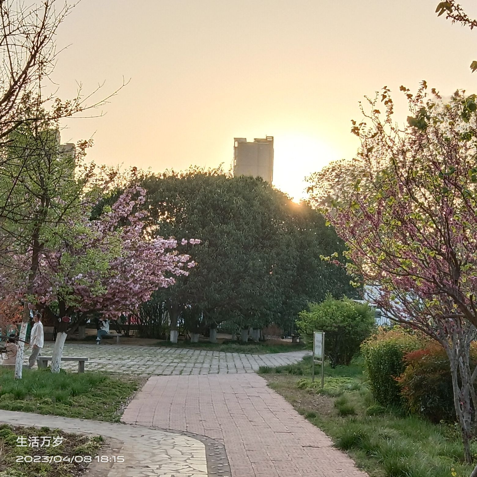 漯河职业技术学院-许慎文化学院