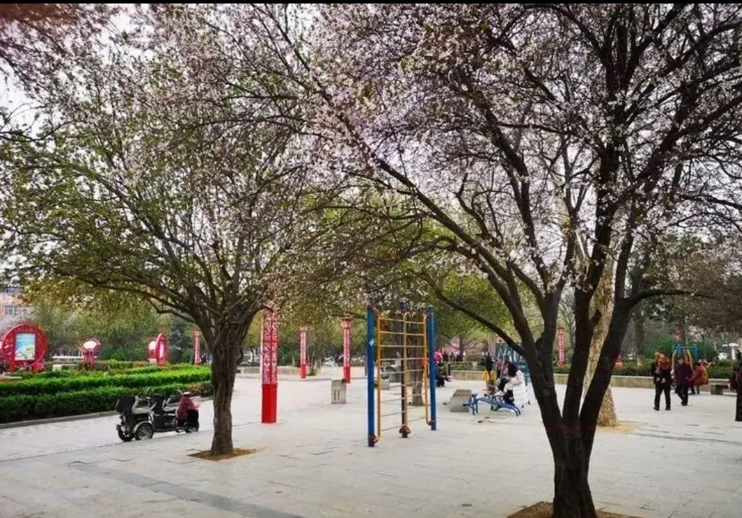 三角广场旅行图片 3
