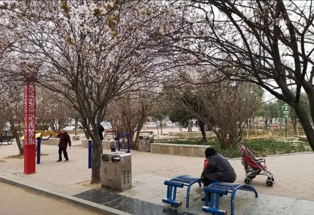 三角广场旅行图片 2
